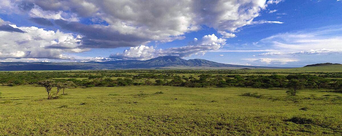 What park fees and conservation levies are required for entering both the Maasai Mara and the Ngorongoro Conservation Area