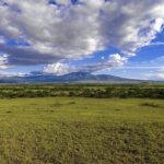What park fees and conservation levies are required for entering both the Maasai Mara and the Ngorongoro Conservation Area