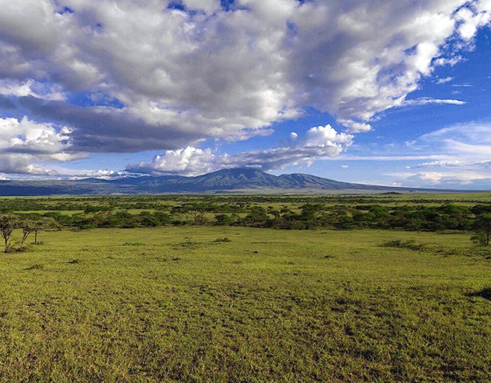What park fees and conservation levies are required for entering both the Maasai Mara and the Ngorongoro Conservation Area