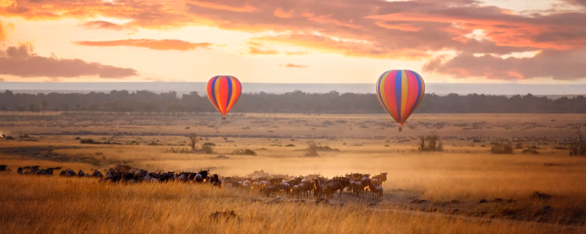 Is a Hot Air Balloon Safari Over the Maasai Mara Easily Coordinated from Angama Mara?