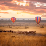 Is a Hot Air Balloon Safari Over the Maasai Mara Easily Coordinated from Angama Mara?