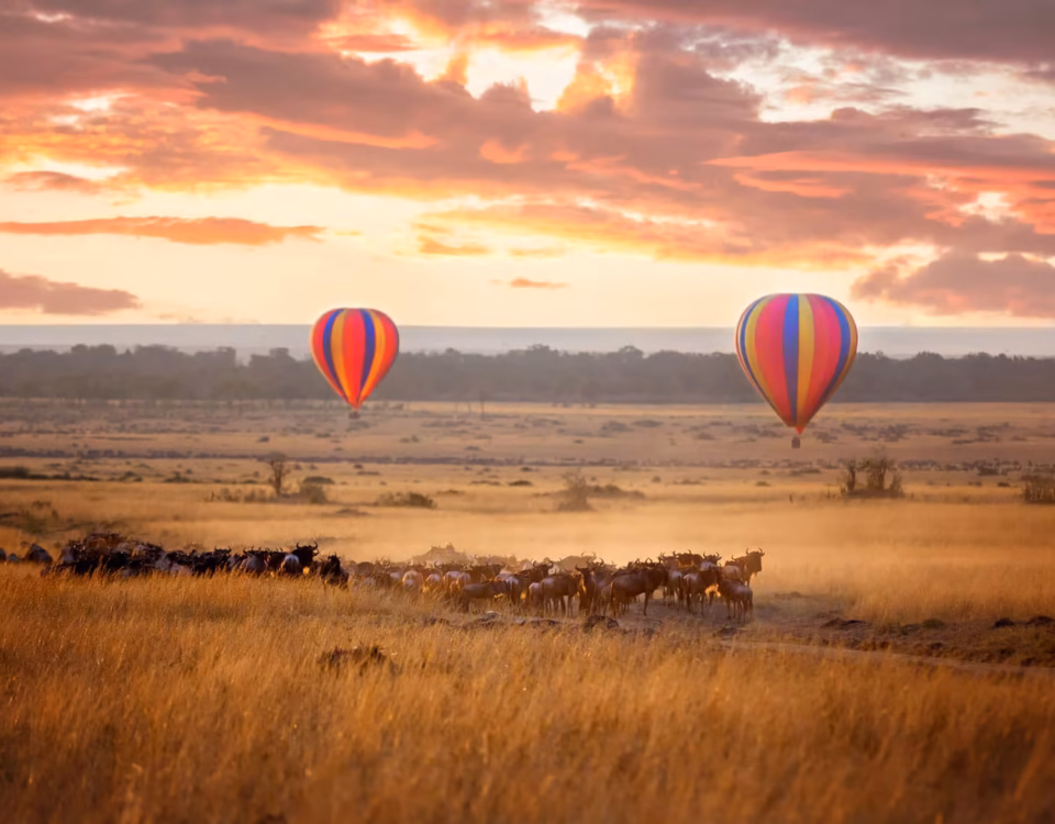 Is a Hot Air Balloon Safari Over the Maasai Mara Easily Coordinated from Angama Mara?