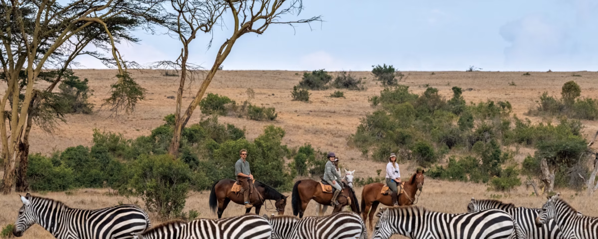 Guide Qualifications in Conservancies vs. National Parks