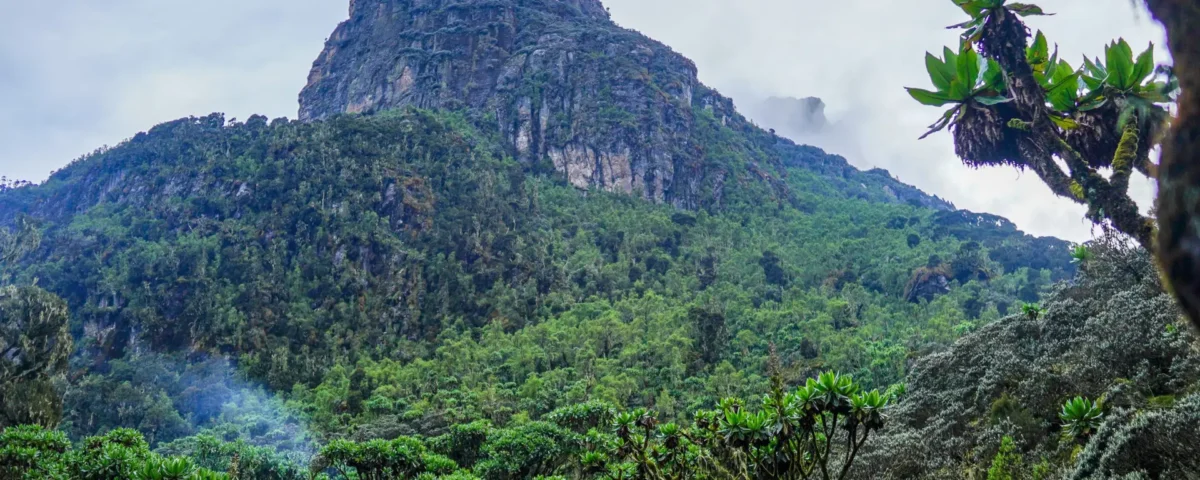 How does a 10-to-14-day duration allow for a less rushed, more immersive wilderness experience?