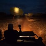 Kenya Safaris 2026: Nocturnal Wildlife & Night Game Drive Guide