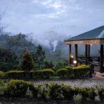 Most Accessible Bwindi Gorilla Sectors from Clouds Lodge