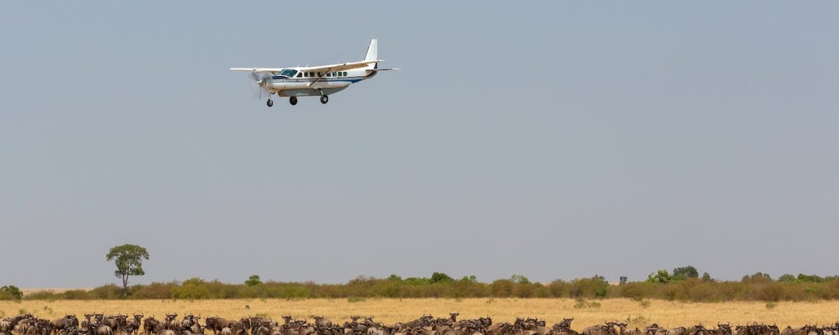 How Does a Fly-In Safari Benefit Travelers with Mobility Constraints or Limited Time?