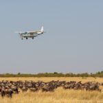 How Does a Fly-In Safari Benefit Travelers with Mobility Constraints or Limited Time?