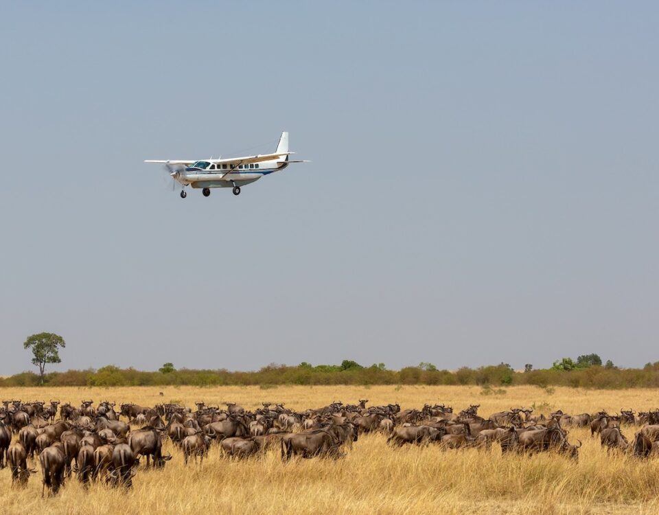 How Does a Fly-In Safari Benefit Travelers with Mobility Constraints or Limited Time?