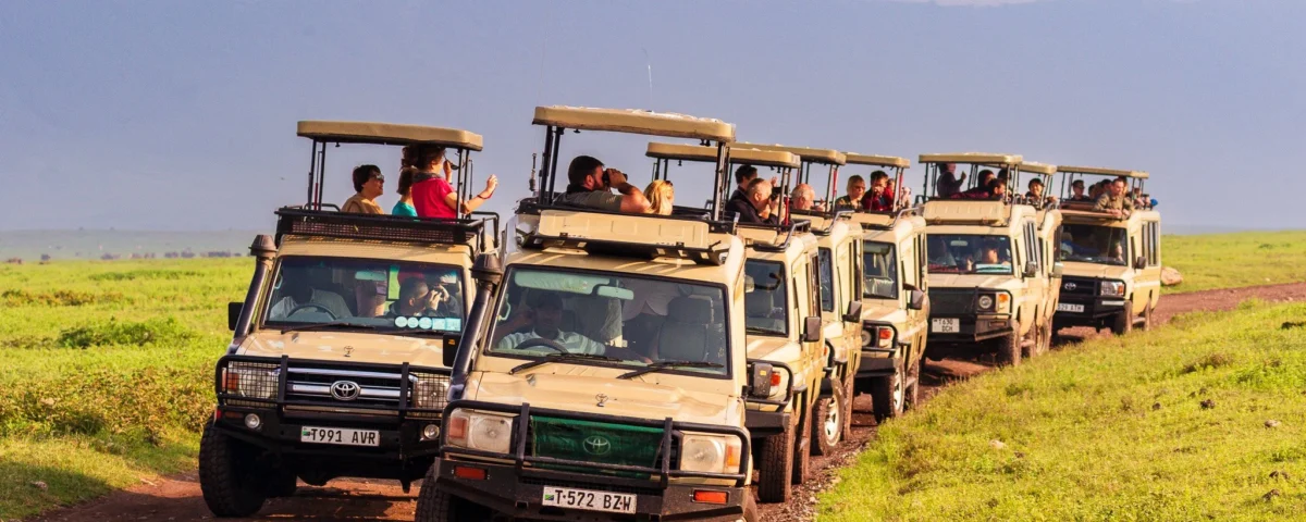 How Does a Fly-In Safari Benefit Travelers with Mobility Constraints or Limited Time?