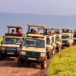 How Does a Fly-In Safari Benefit Travelers with Mobility Constraints or Limited Time?