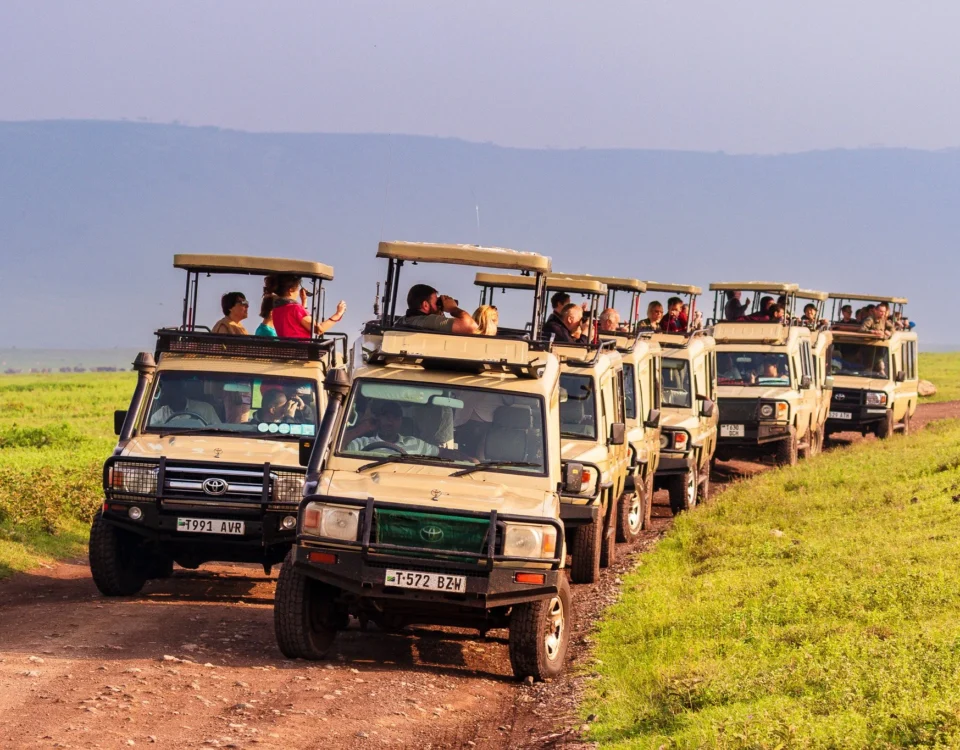 How Does a Fly-In Safari Benefit Travelers with Mobility Constraints or Limited Time?