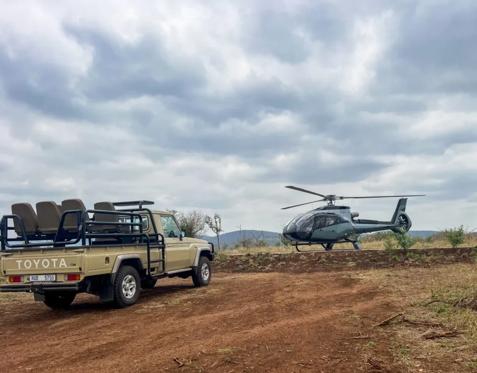 Firante Gorilla Treks