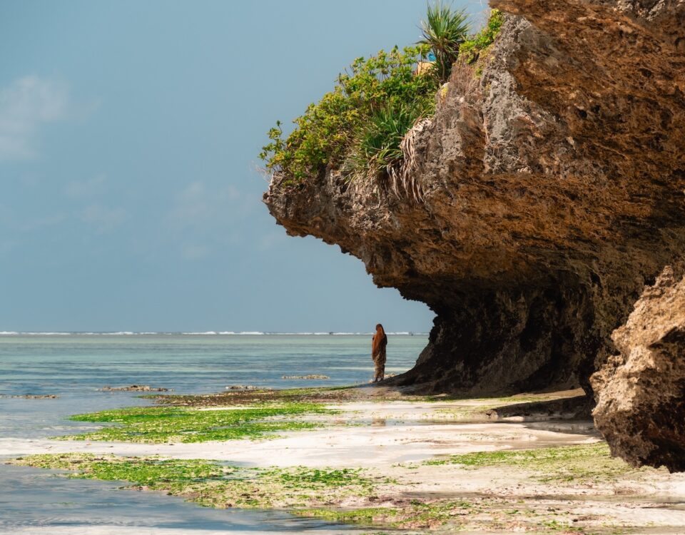 Can This 8-to-10-Day Itinerary Be Extended to Include a Beach Extension in Zanzibar?