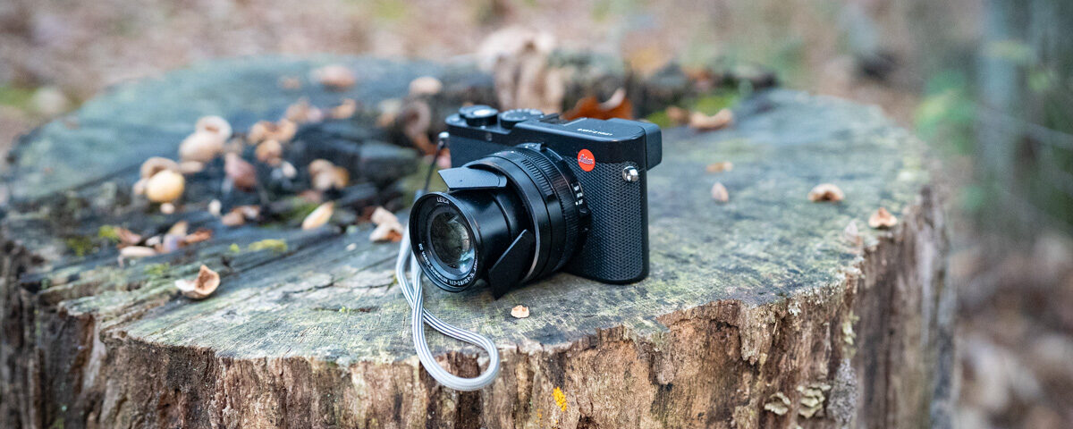 What Specialized Camera Gear Is Recommended for Capturing Wildlife in the Misty Jungles Versus the Open Plains?