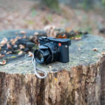 What Specialized Camera Gear Is Recommended for Capturing Wildlife in the Misty Jungles Versus the Open Plains?