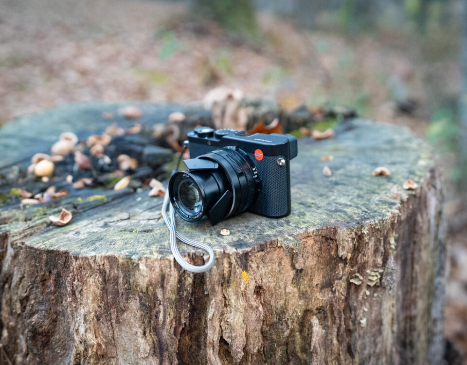 What Specialized Camera Gear Is Recommended for Capturing Wildlife in the Misty Jungles Versus the Open Plains?