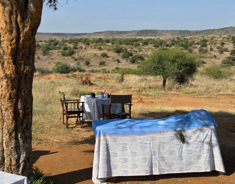 gourmet-bush-breakfasts-fine-dining-at-loisaba-conservancy