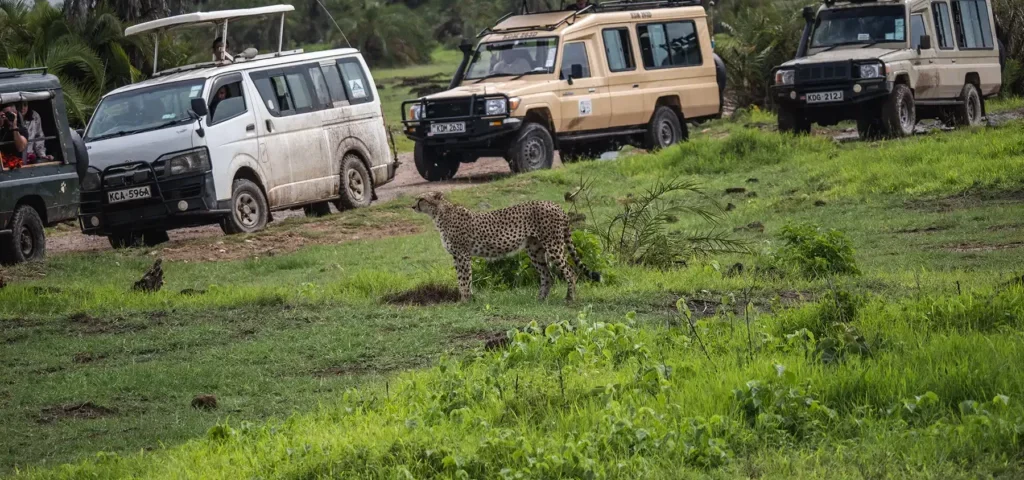 Can This Itinerary Be Organized in Reverse, Starting in Kenya and Ending in Uganda?