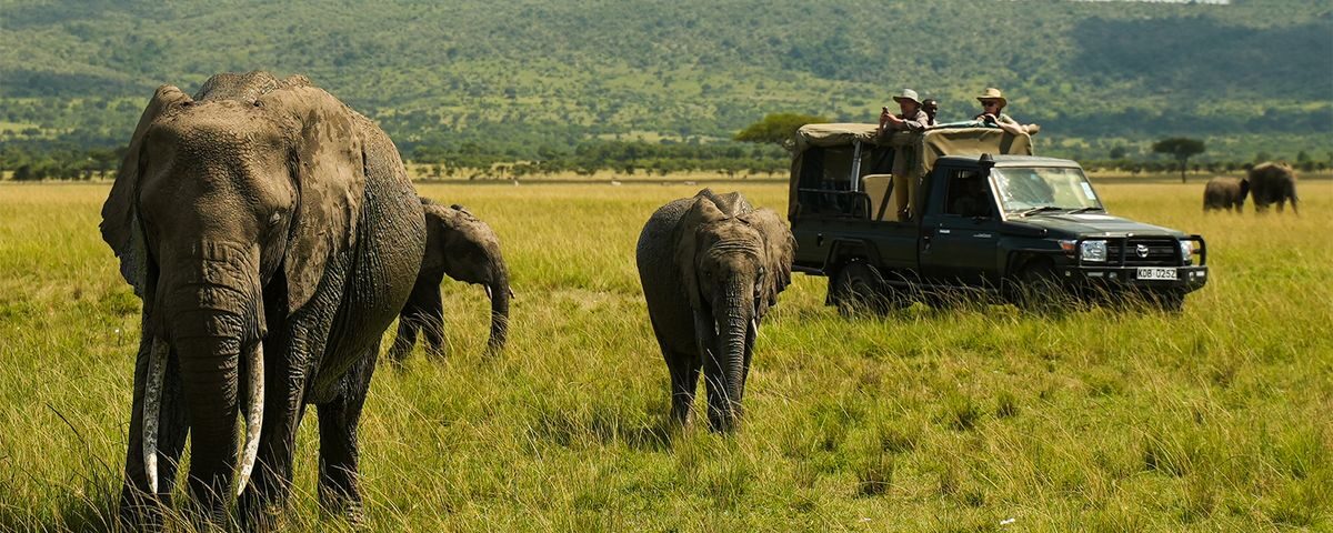 What Medical Evacuation Insurance Is Mandatory or Included for Fly-In Remote Bush Safaris?
