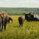 What Medical Evacuation Insurance Is Mandatory or Included for Fly-In Remote Bush Safaris?