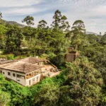 What Factors Cause the Price of This Circuit to Fluctuate Within the High-End Luxury Tier?
