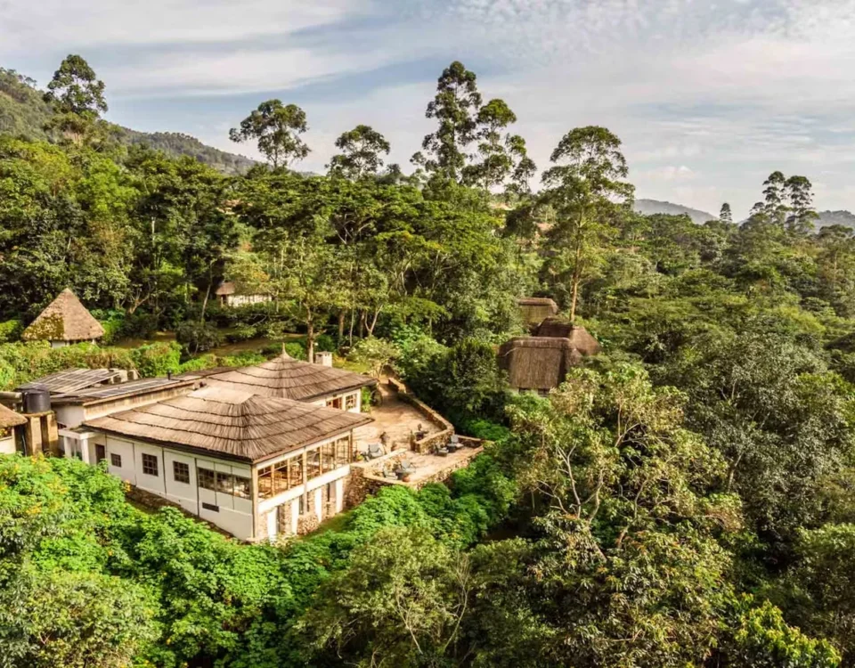 What Factors Cause the Price of This Circuit to Fluctuate Within the High-End Luxury Tier?