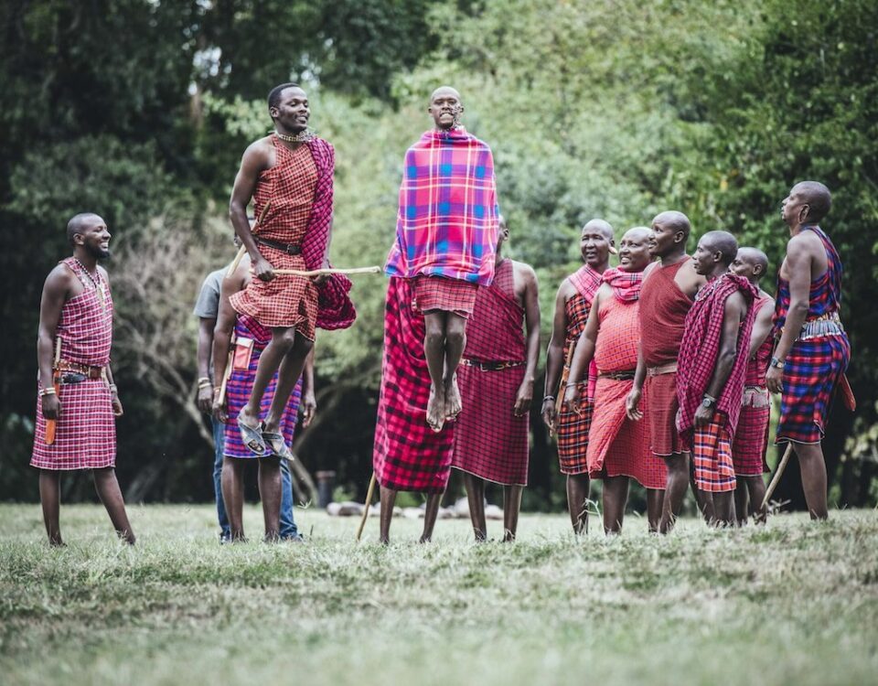 How do Maasai guides at Angama Mara enrich the walking safari experience?