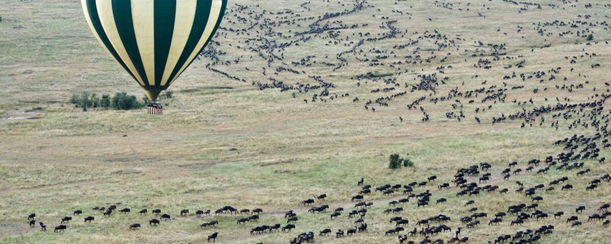 How Do Customs and Immigration Clearances Work When Flying Directly Between the Maasai Mara and the Serengeti?