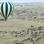 How Do Customs and Immigration Clearances Work When Flying Directly Between the Maasai Mara and the Serengeti?