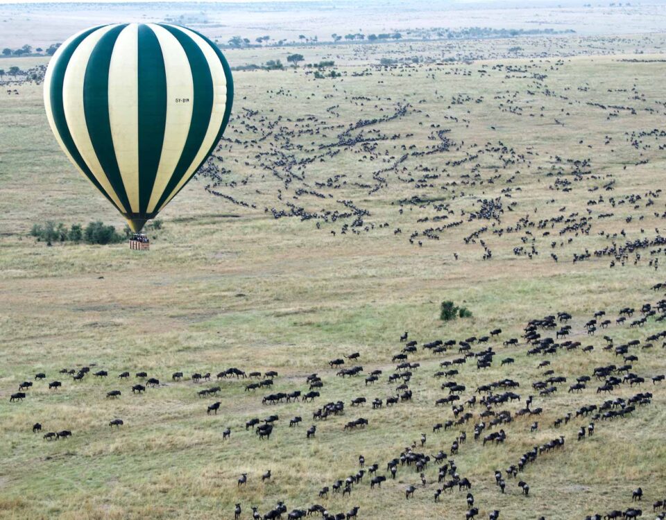 How Do Customs and Immigration Clearances Work When Flying Directly Between the Maasai Mara and the Serengeti?