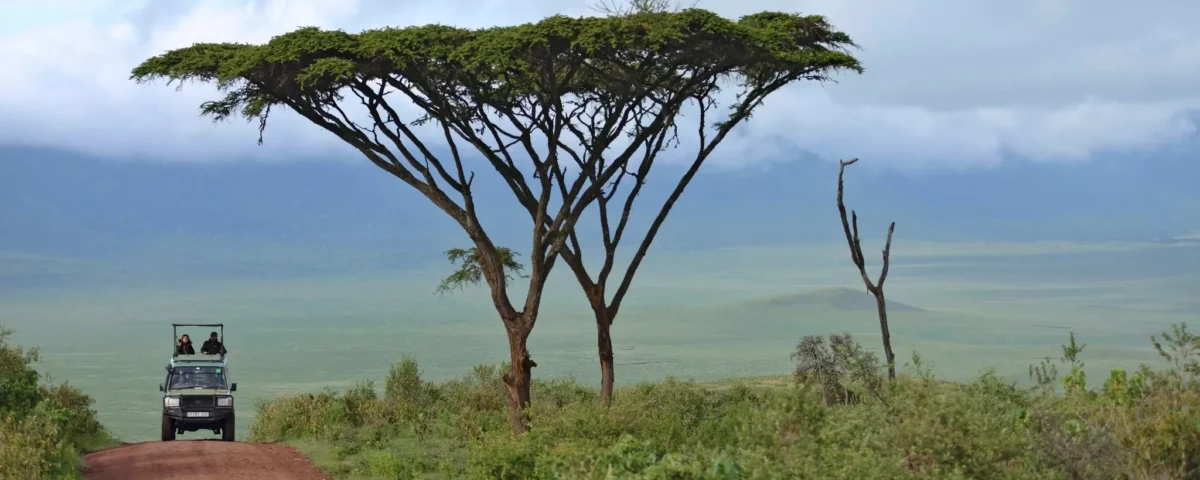Beyond the Game Drive