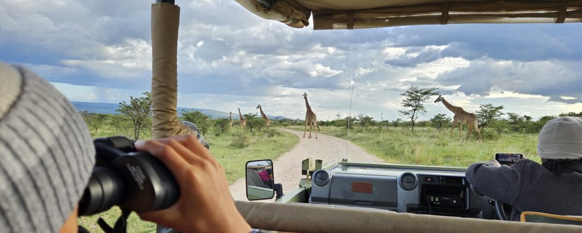 Are Airport Transfers Conducted in Open-Sided or Closed Luxury Safari Vehicles?