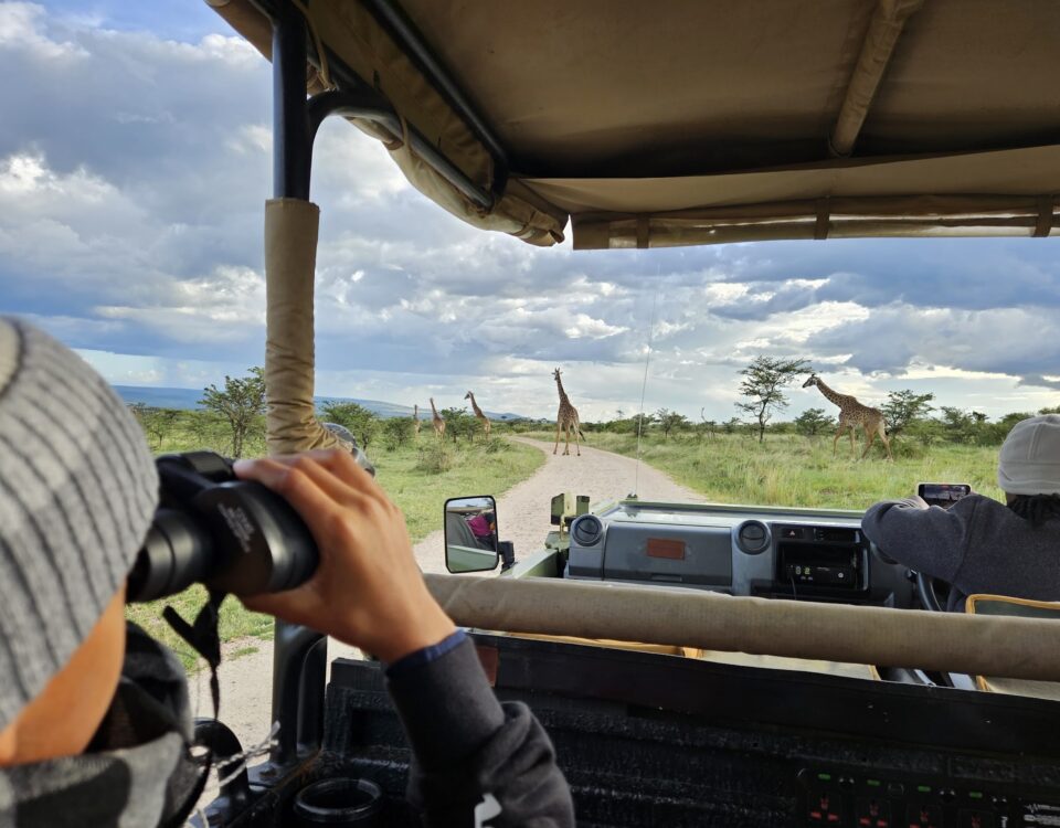 Are Airport Transfers Conducted in Open-Sided or Closed Luxury Safari Vehicles?