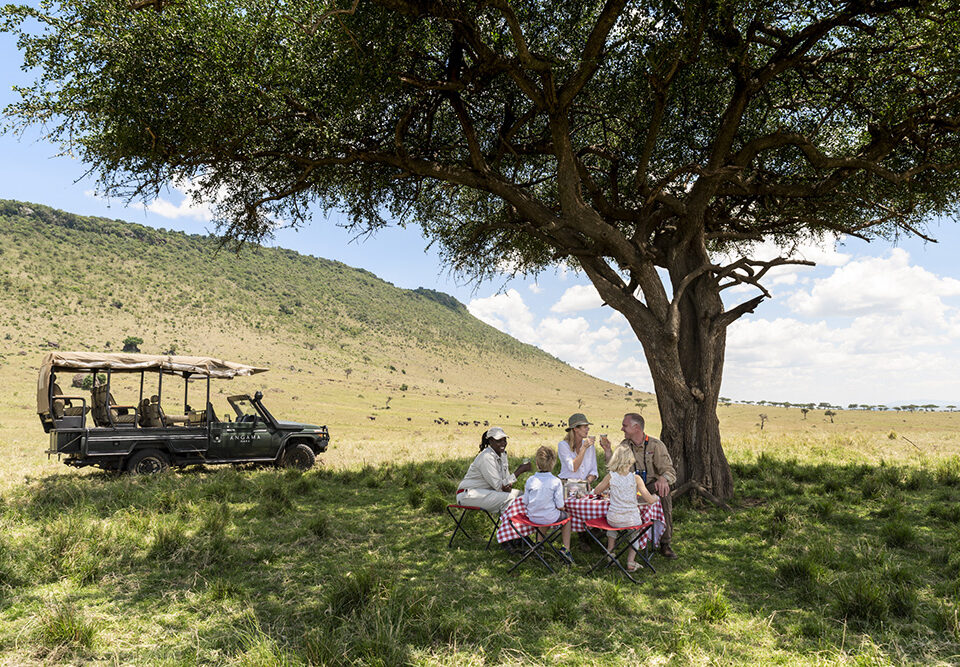 Uganda & Kenya Safaris 2026: Remote Connectivity Guide at Luxury Lodges
