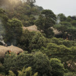 How Much of the Accommodation Fee at Bisate Lodge Goes Directly Toward Local Community Conservation Initiatives?