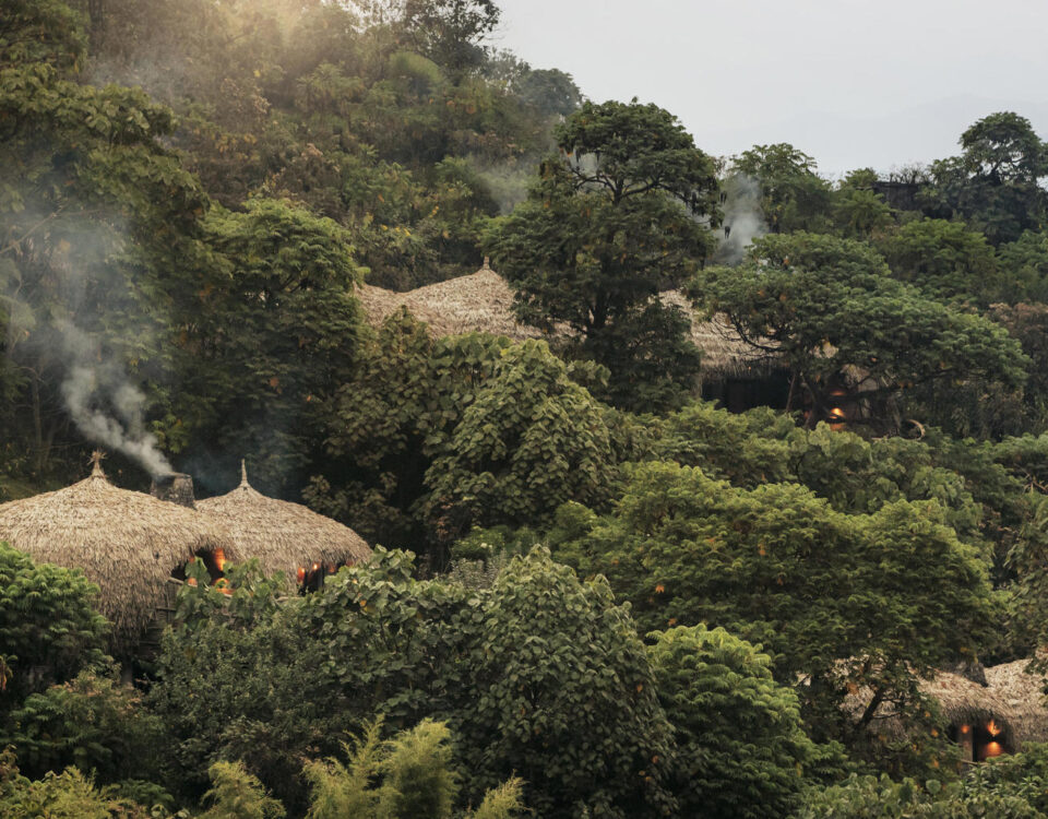 How Much of the Accommodation Fee at Bisate Lodge Goes Directly Toward Local Community Conservation Initiatives?