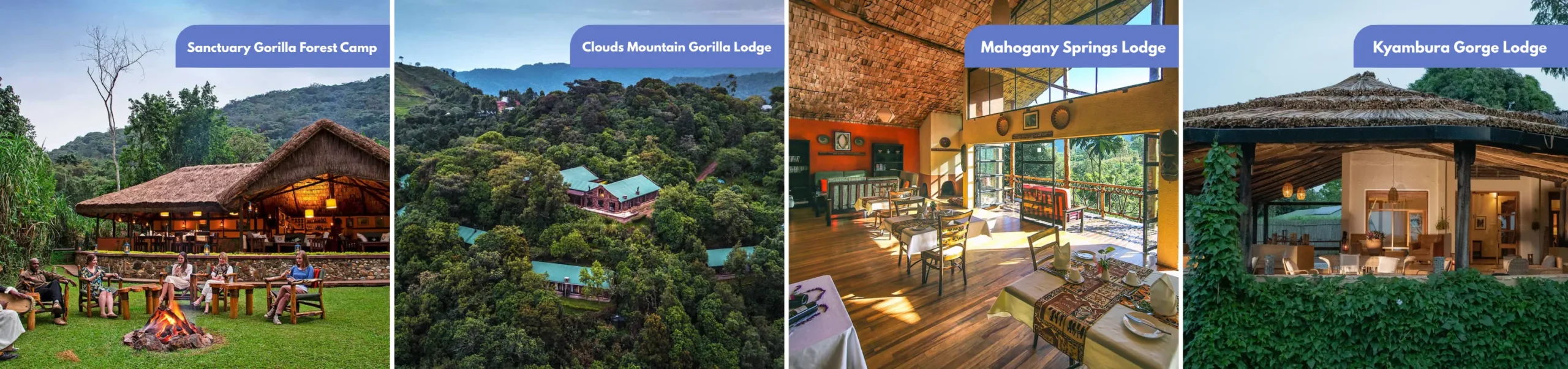 10 Best Luxury Safari Lodges & Camps in Uganda 10 Best Luxury Safari Lodges & Camps in Uganda - Firante Gorilla Treks