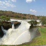 AFCON 2027 East Africa Travel Guide: Football, Gorilla Trekking and Safaris Afcon 2027 East Africa gorilla safari