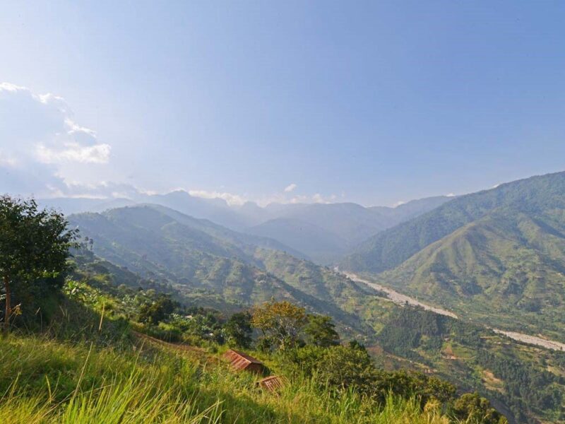 Runners participating in the Rwenzori Marathon Safari experience in Kasese, Uganda